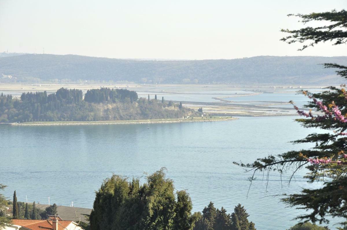 Bbp Apartment Portorož Eksteriør bilde